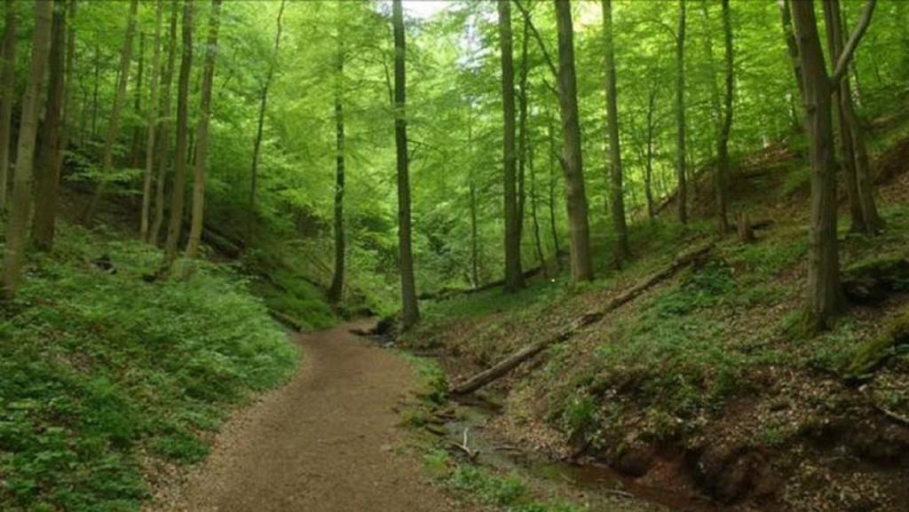Apartmán Beletage Eisenach Exteriér fotografie